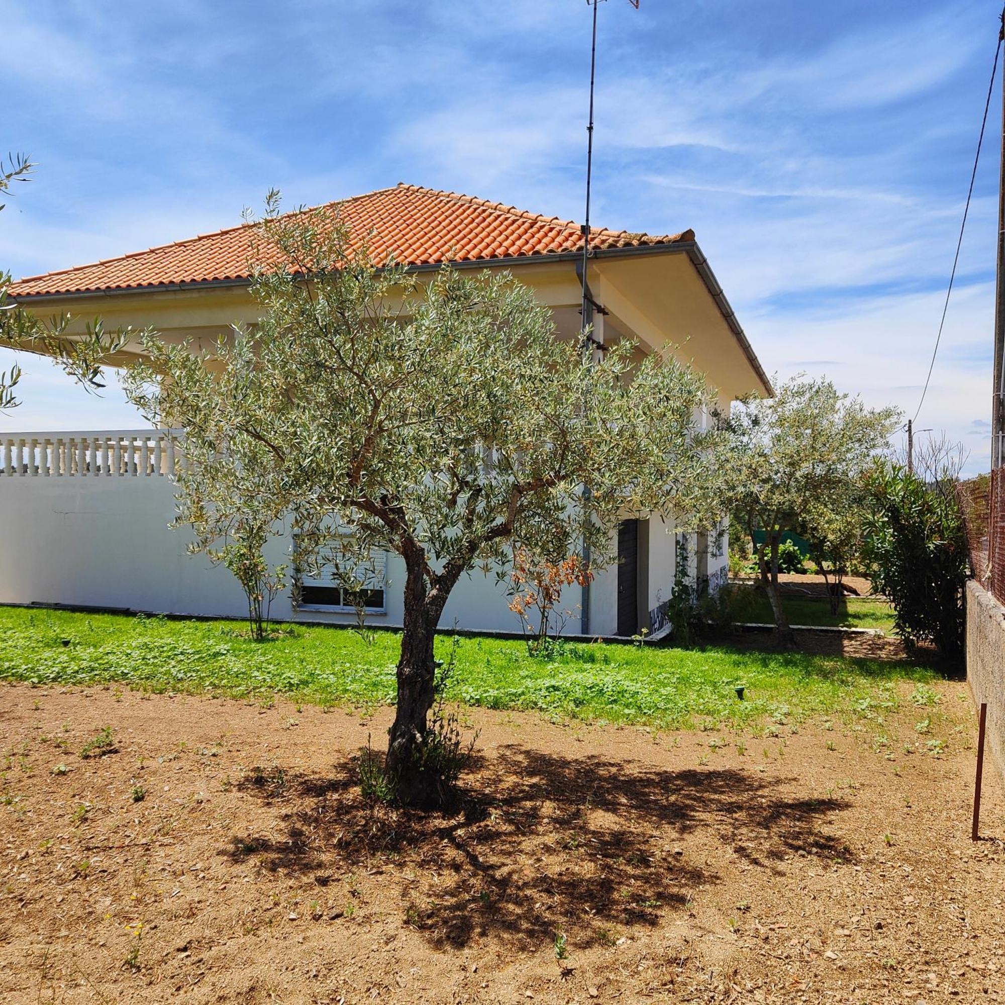 Villa Mendes Oliva Almeida Εξωτερικό φωτογραφία