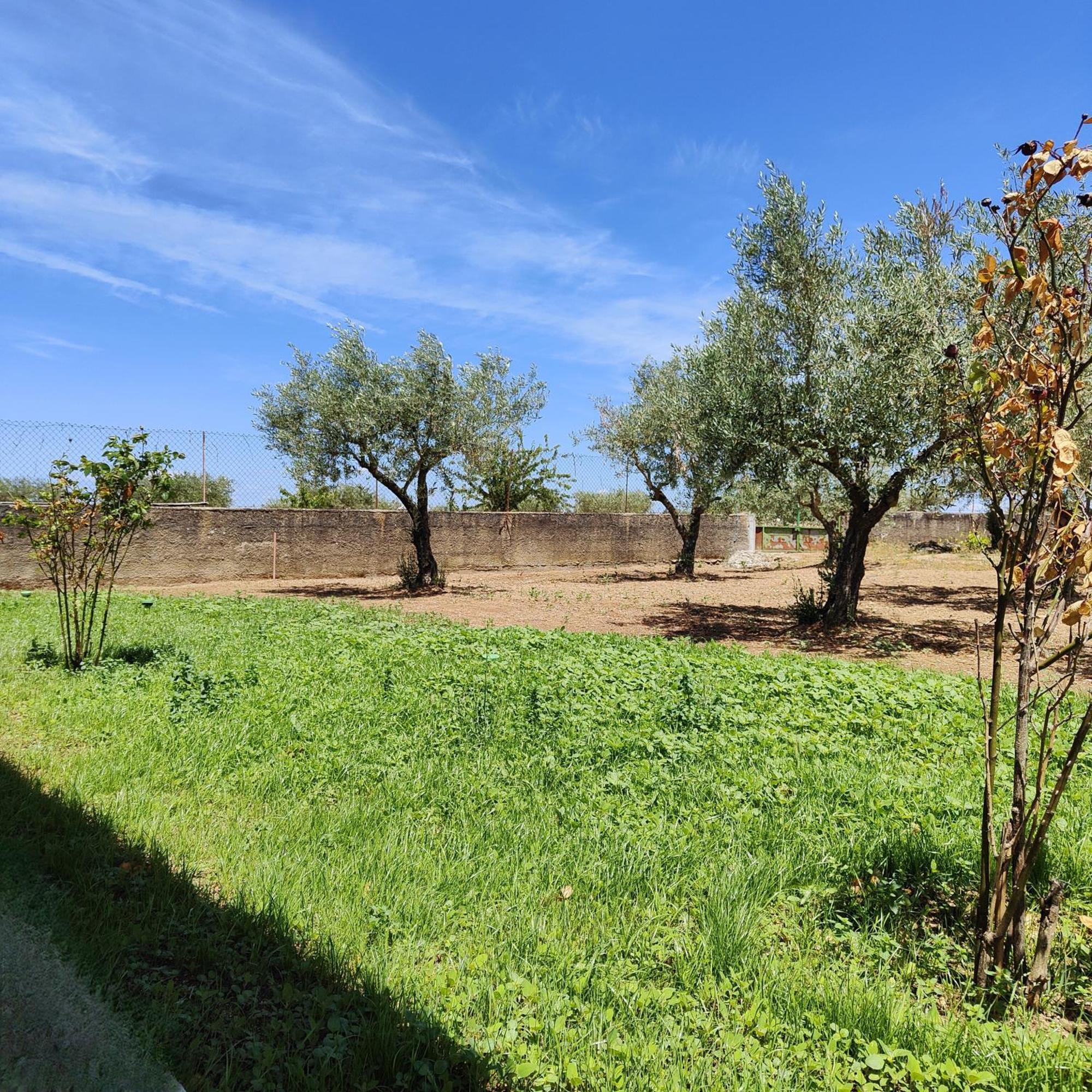 Villa Mendes Oliva Almeida Εξωτερικό φωτογραφία